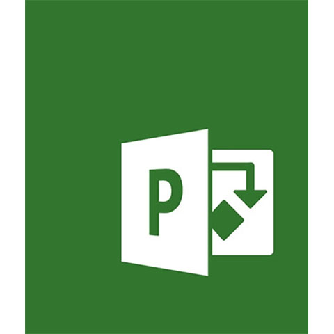 Microsoft Project Standard 2019 (1-User License, Download)