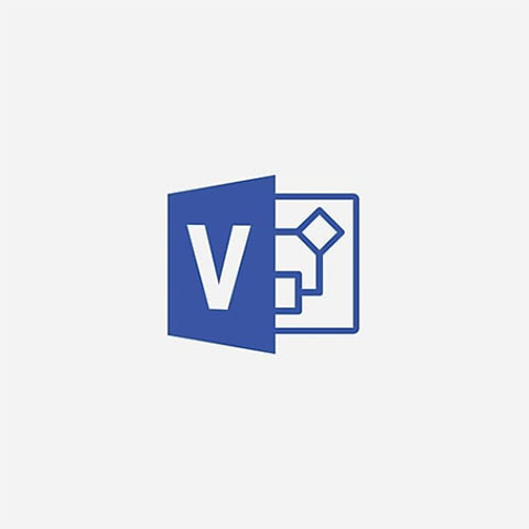 Microsoft Visio Standard 2019 for 1 User, Windows, Download (D86-05822)