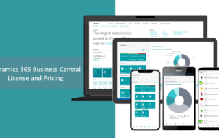 Dynamics 365 Business Central License